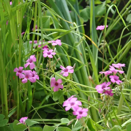 Appartement Casa Angioletta Gassino Torinese